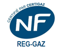 COMPTEUR PISTON ROTATIF G100 CE MID C DN50 PN16 ENT171<160M3/H H&V RFID 4140143